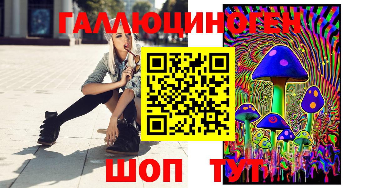 Апатиты  Галлюциногенные грибы Psilocybine cubensis  Вход с VPN 